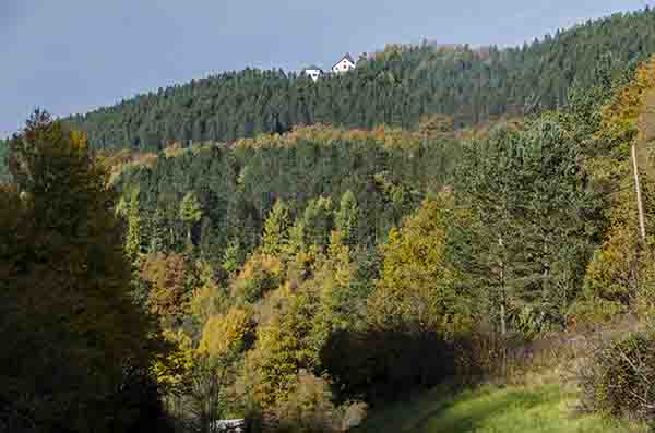 Reyno de Navarra - Ochagavia 11 - santuario de Ntra. Sra. de Muskilda.jpg